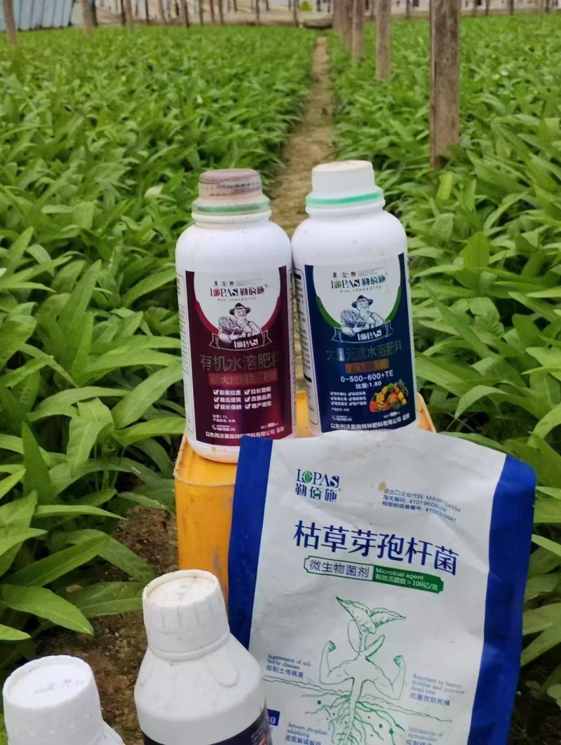 枯草芽孢杆菌，病毒克星工厂直供，欢迎咨询来电