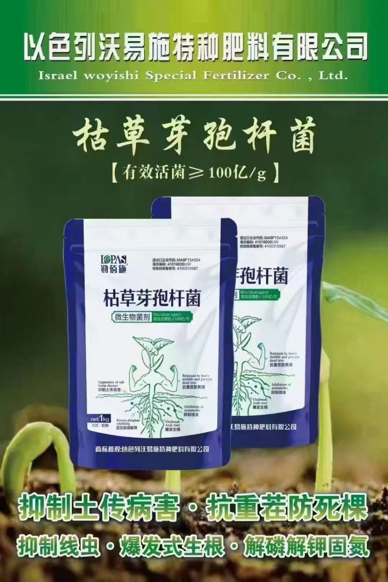 枯草芽孢杆菌，病毒克星工厂直供，欢迎咨询来电