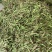 油豆一点红豆角紫花豆货源充足量大从优实力代发全国