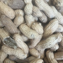 我们这里的手捡富硒黑花生果，货源充足，有检测报告，诚信经营