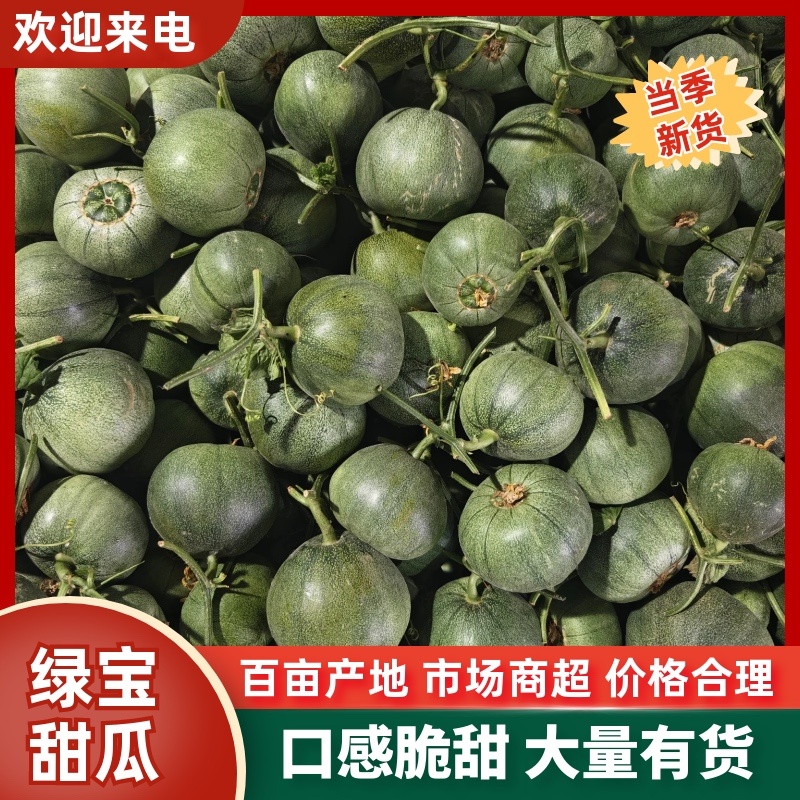 内黄县绿宝甜瓜博洋9博洋6大量上市中对接电商社区团购