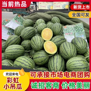 内黄县彩虹小吊瓜多汁多水