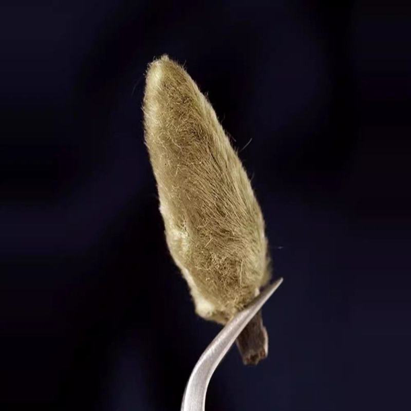辛夷花正宗煮茶泡水大花小花无梗中药材花类香料批发零售