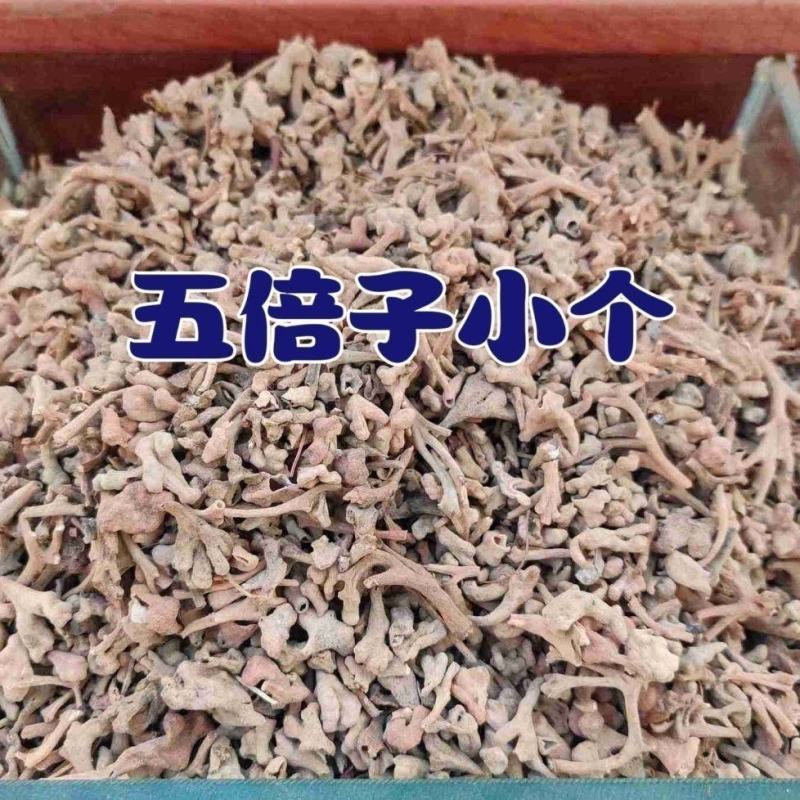 中药材五倍子天然百虫仓五花倍独角倍保质保量批发零售