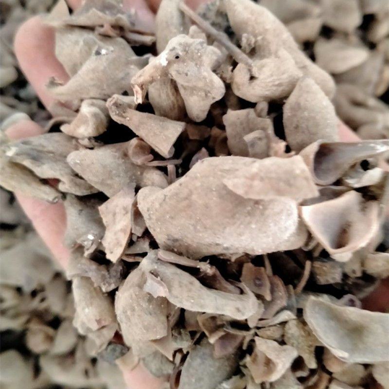 中药材五倍子天然百虫仓五花倍独角倍保质保量批发零售
