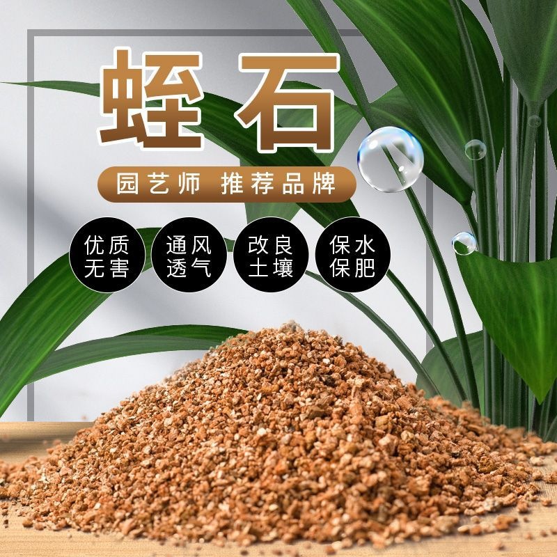 蛭石