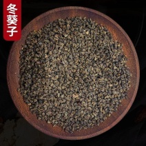 正品冬葵子无硫熏新货无杂质保质保量中药材籽仁药批发零售