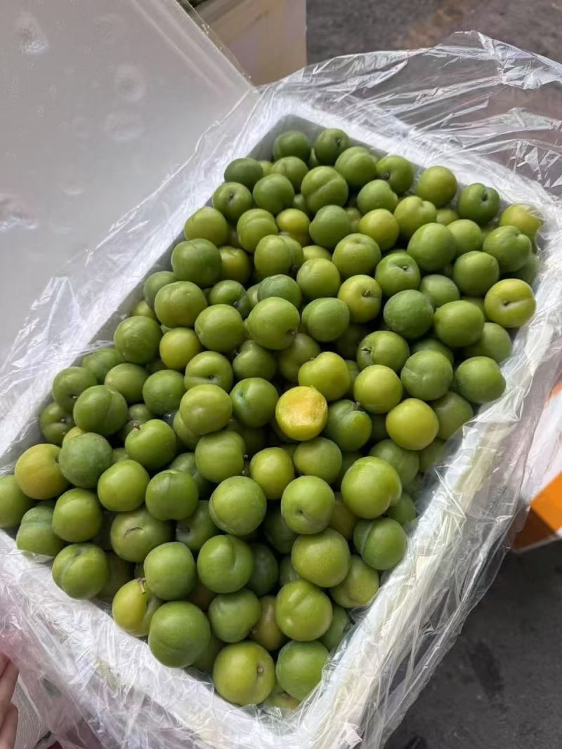早李，三月李，大机分选，泡沫箱抽真空包装，按净重计价