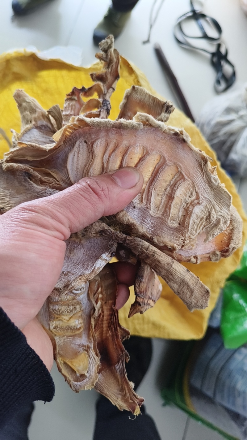 湖南怀化本地高山蓝竹笋干