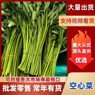 空心菜大量有货，江苏产地直发，货源充足，全年供货