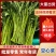 空心菜大量有货，江苏产地直发，货源充足，全年供货
