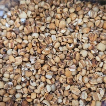 薏米炒薏米