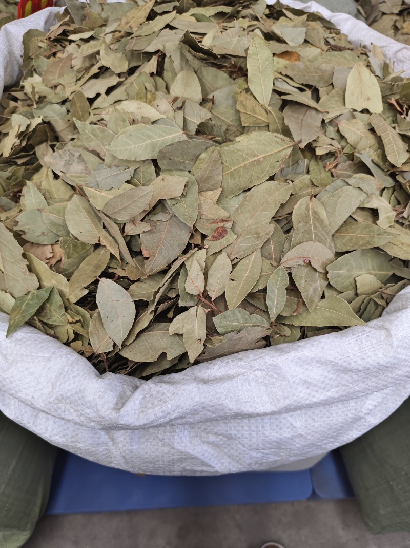 两斤起批新货特绿香叶选货片形好量大从优