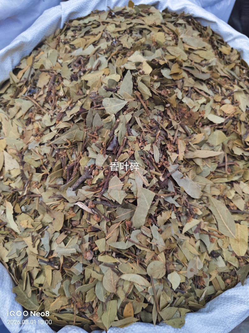 两斤起批新货特绿香叶选货片形好量大从优
