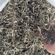 普洱生态小树茶（春茶）