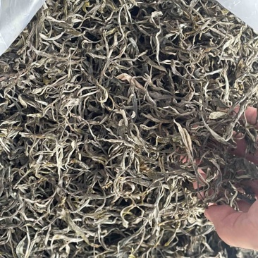普洱生态小树茶（春茶）