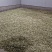 新鲜采摘槐花
