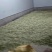 新鲜采摘槐花