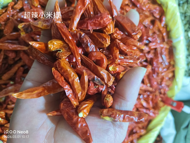 辣椒段干辣椒小米辣印度魔鬼辣印度干辣椒三樱椒