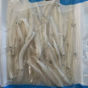 野生面条鱼，一箱20袋，一箱起批！需要的老板请联系我！