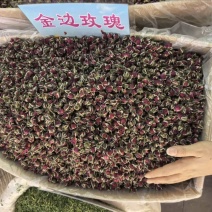 金边玫瑰