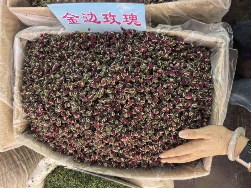 金边玫瑰