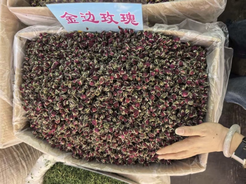 金边玫瑰