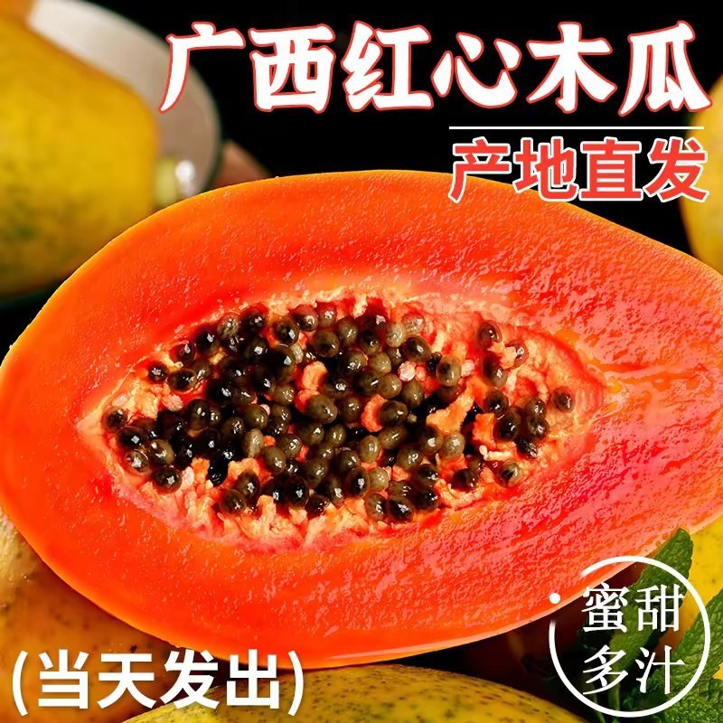 木瓜树苗黄肉红肉木瓜