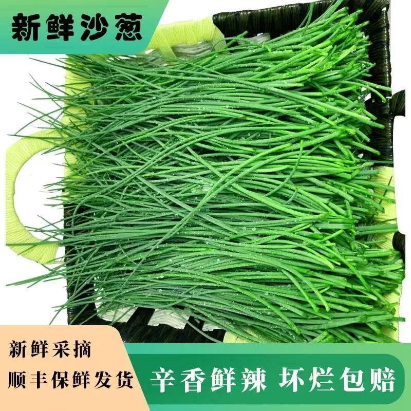 新鲜沙葱现摘现发辛香鲜辣坏烂包赔欢迎老板下单