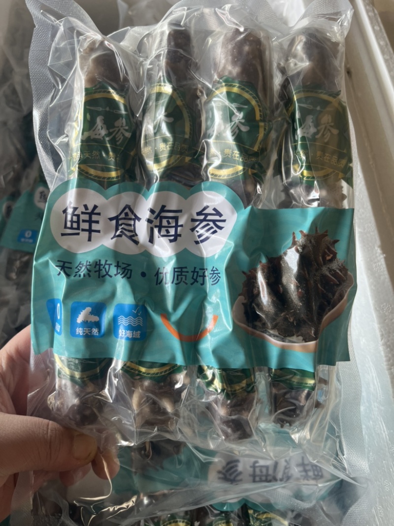 海参10个头一斤，高品质海参，批发价格，有需要的老板联系我。