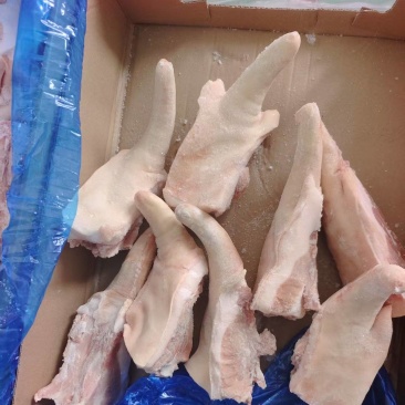 猪尾3237带根短尾实拍颜色新鲜，瘦肉率高，价格**划算