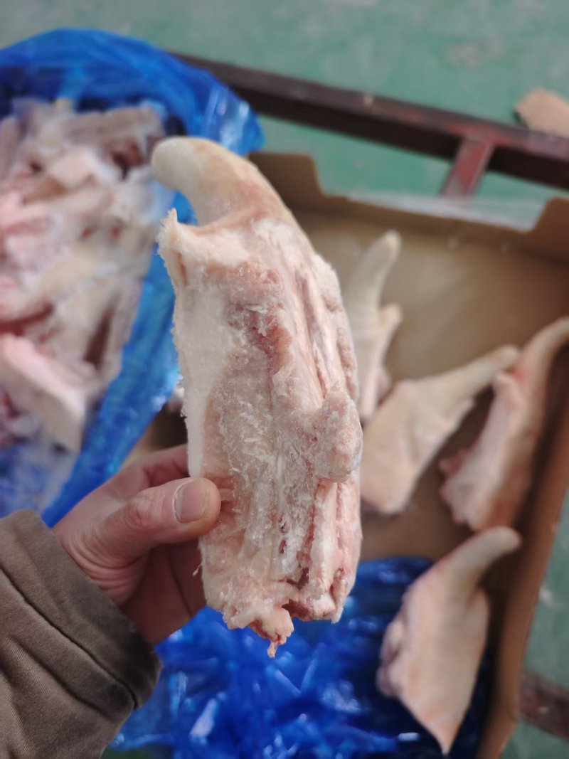 猪尾3237带根短尾实拍颜色新鲜，瘦肉率高，价格**划算