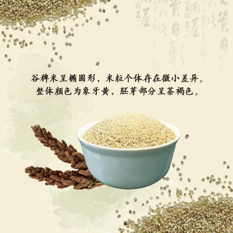 谷稗米大量上市，基地直发，品质保障，量大从优，欢迎电联