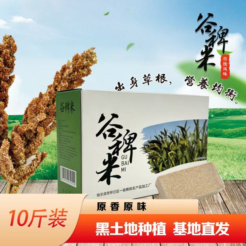 谷稗米大量上市，基地直发，品质保障，量大从优，欢迎电联