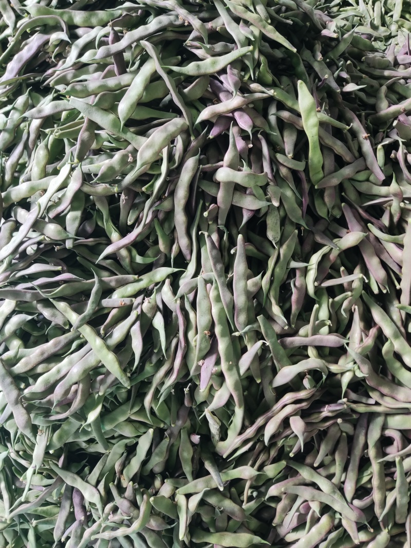 精品油豆，产地直发