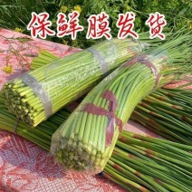 26年新蒜薹大量上市支持社区团购线上线下一件代发