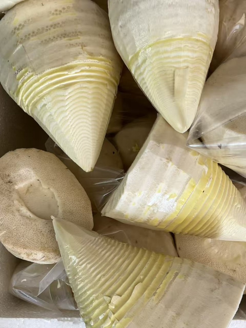 野生春笋肉，欢迎老板订购