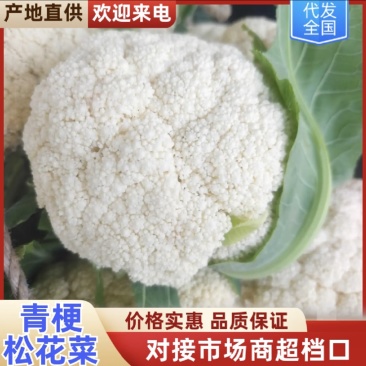 陕西花菜松花菜青梗产地直发代发全国