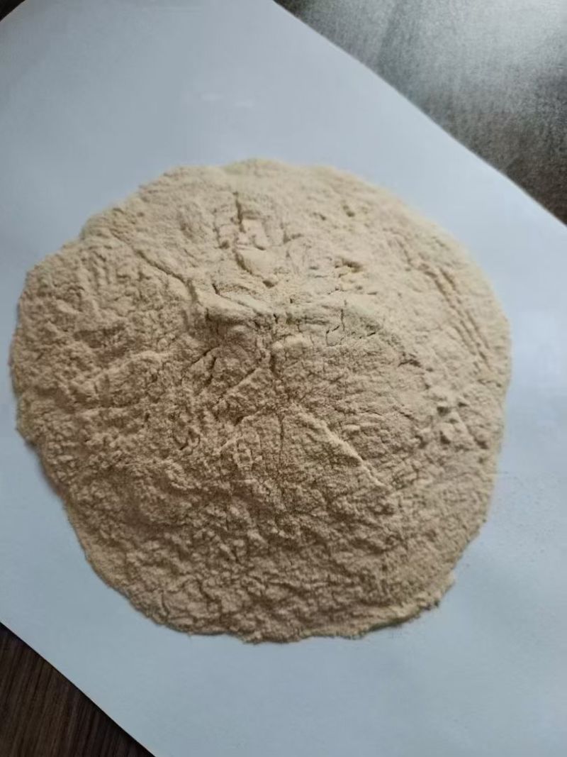 根线急救120根结线虫的克星改良土壤养根生根促进生长