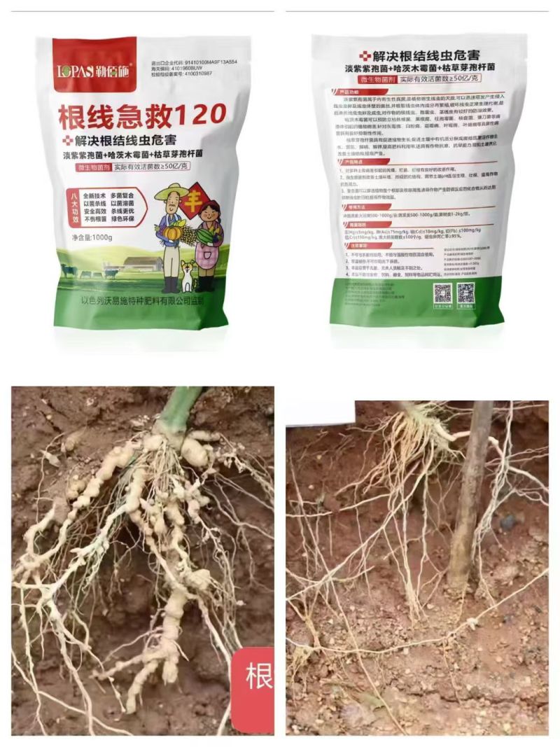 根线急救120根结线虫的克星改良土壤养根生根促进生长