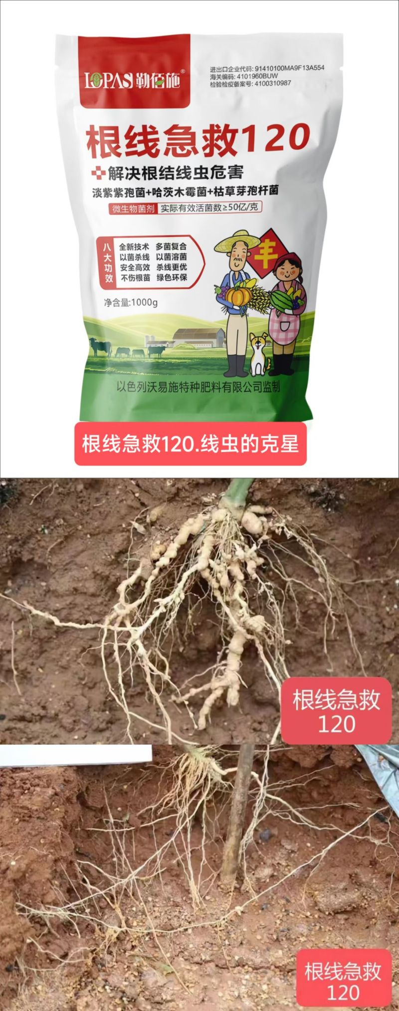根线急救120根结线虫的克星改良土壤养根生根促进生长