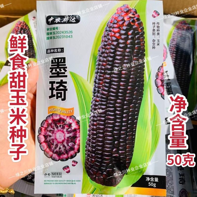 墨琦水果玉米种子大棒黑色甜玉米种子生吃品种营养丰富