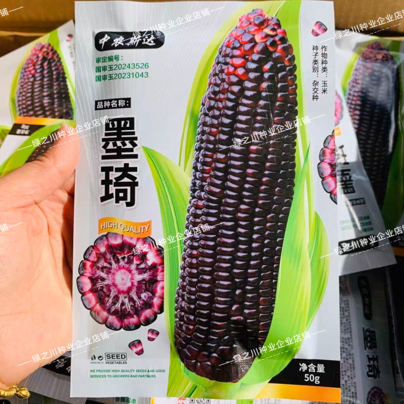 墨琦水果玉米种子大棒黑色甜玉米种子生吃品种营养丰富