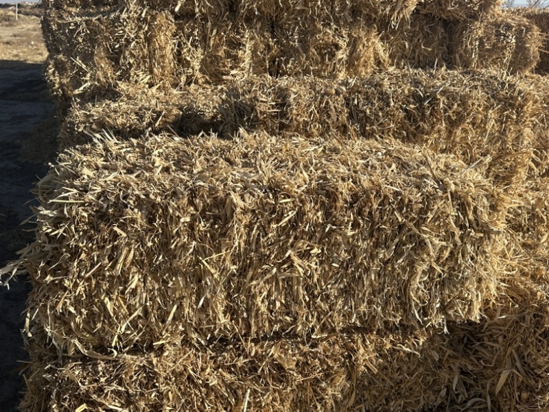 甘肃张掖民乐玉米草垛子小麦草墩子精品干净