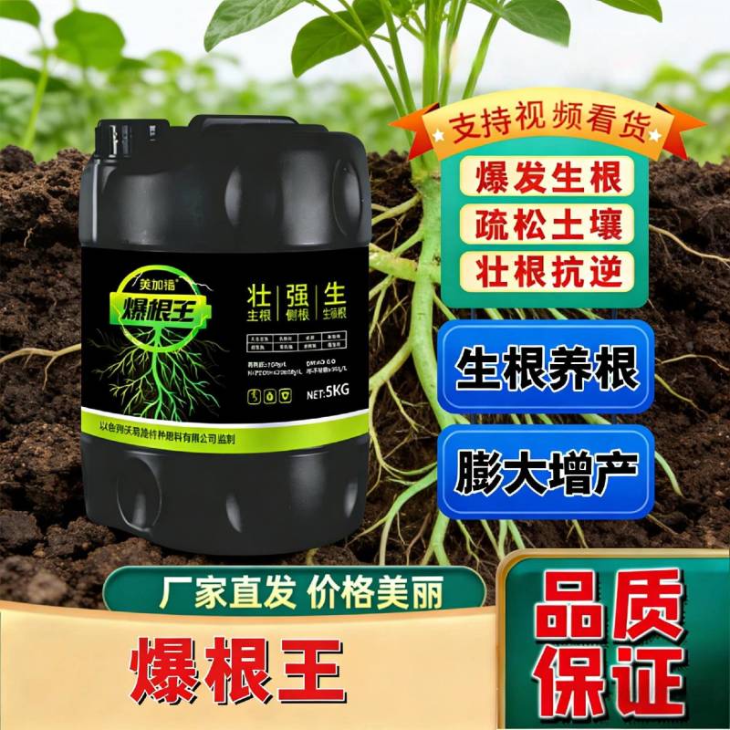 爆根王-爆发生根，壮根抗逆，源头厂家，欢迎咨询来电