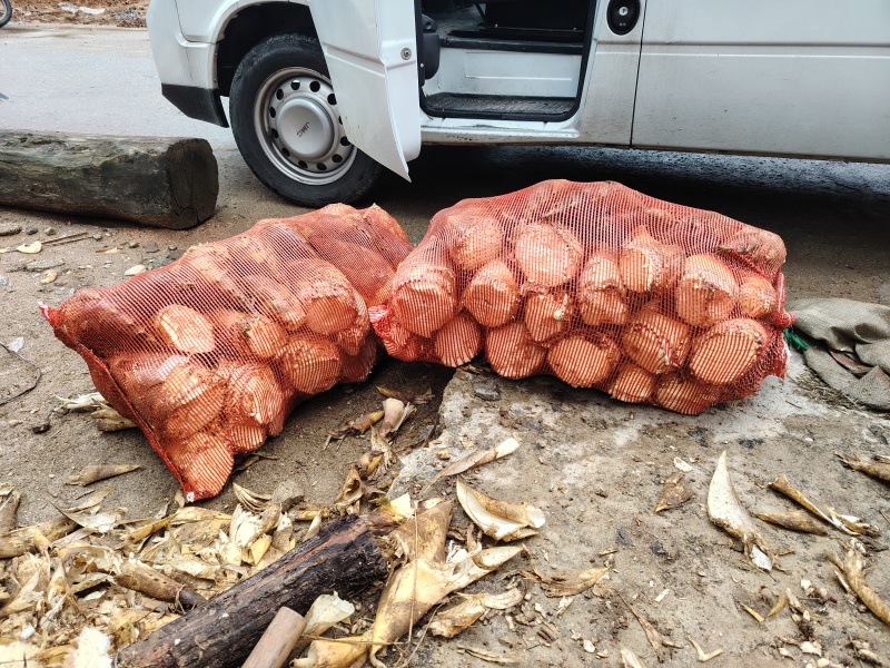 春笋大量供应湖南高海拔春另