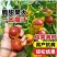 【精选】枣树苗，冬枣苗，冬枣树苗基地死苗补发免费技术指导