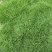 精品马泥拉草卷草块