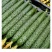1.南阳黄瓜现摘现发，脆嫩多汁好品质2.精品