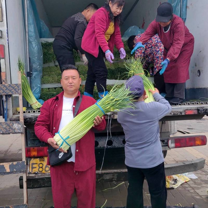 精选白帽蒜薹，干苔大量上市，一手货源，质量保证，欢迎采购